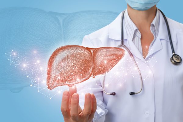 10 Fakta Menarik Tentang Peran Hati dalam Tubuh