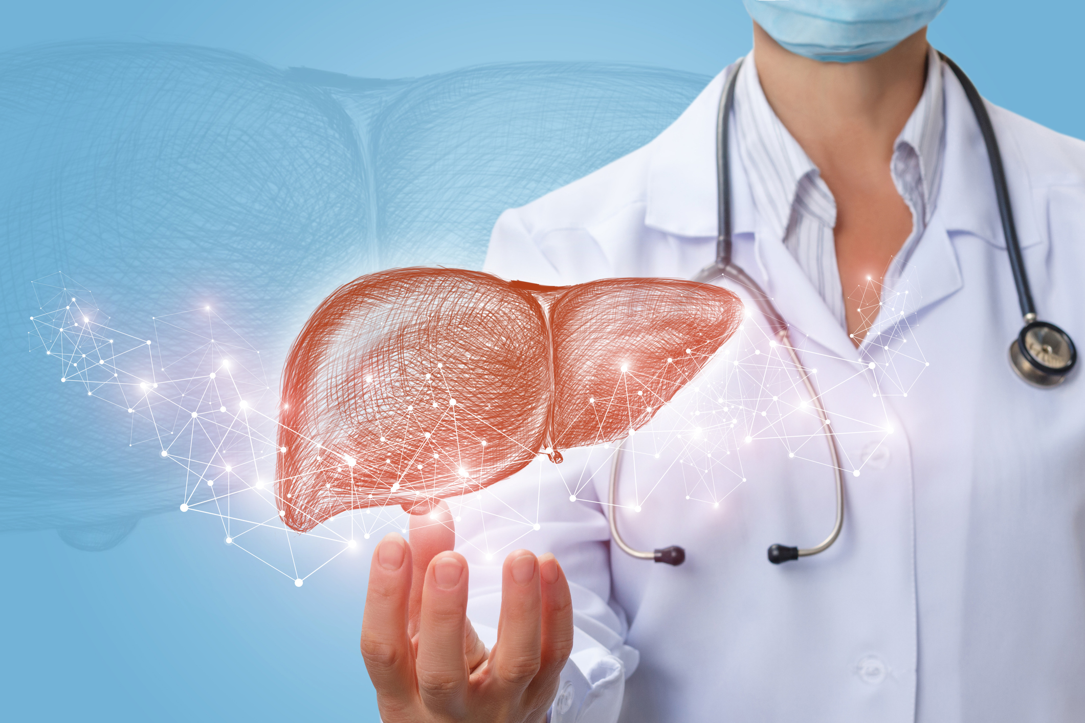 10 Fakta Menarik Tentang Peran Hati dalam Tubuh